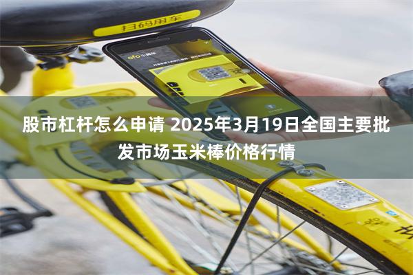 股市杠杆怎么申请 2025年3月19日全国主要批发市场玉米棒价格行情