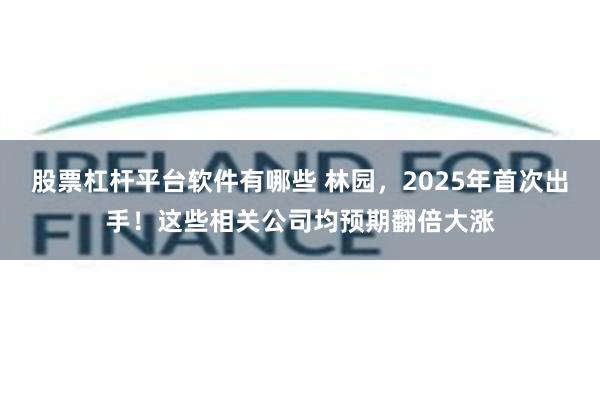 股票杠杆平台软件有哪些 林园，2025年首次出手！这些相关公司均预期翻倍大涨
