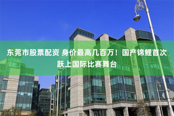 东莞市股票配资 身价最高几百万！国产锦鲤首次跃上国际比赛舞台