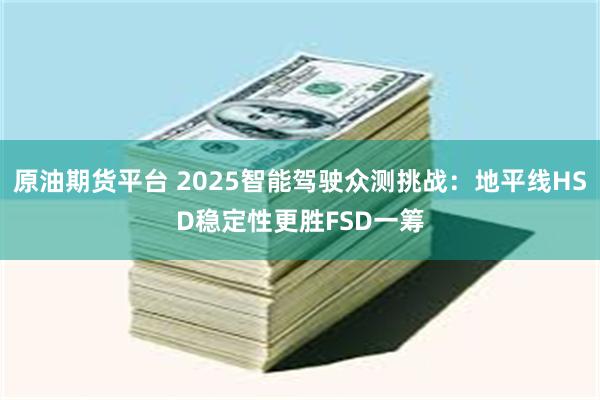原油期货平台 2025智能驾驶众测挑战：地平线HSD稳定性更胜FSD一筹