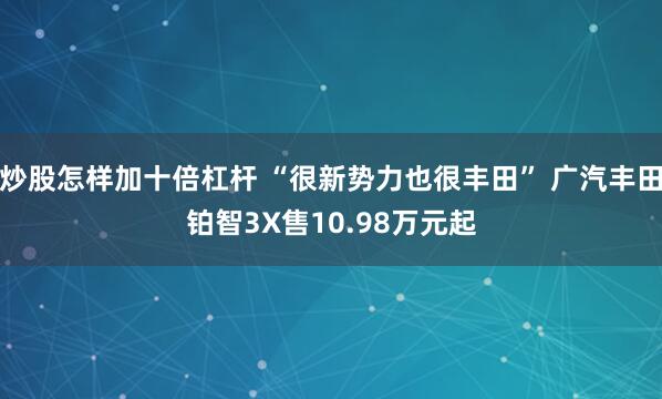 炒股怎样加十倍杠杆 “很新势力也很丰田” 广汽丰田铂智3X售10.98万元起