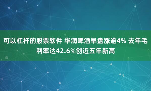 可以杠杆的股票软件 华润啤酒早盘涨逾4% 去年毛利率达42.6%创近五年新高