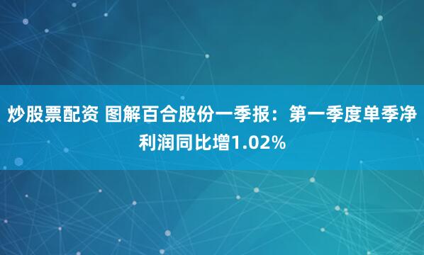 炒股票配资 图解百合股份一季报：第一季度单季净利润同比增1.02%