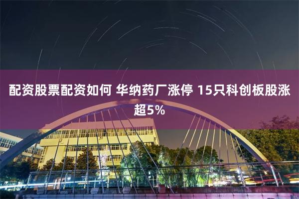 配资股票配资如何 华纳药厂涨停 15只科创板股涨超5%